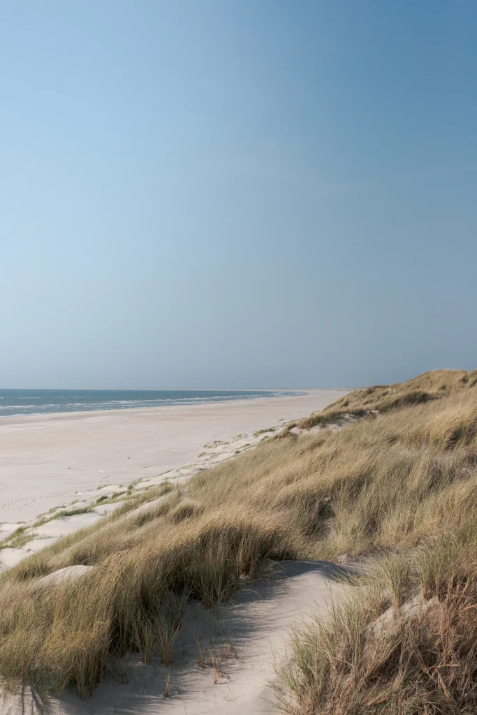 Sand dunes and beach grass beside calm water